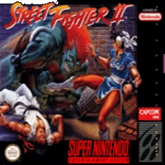 Street Fighter II - The World Warrior