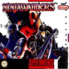 Ninja Warriors