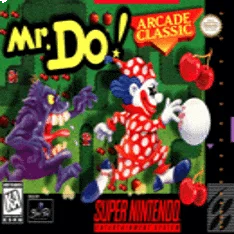 Mr. Do