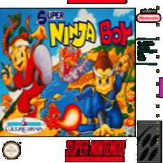 Super Ninja Boy